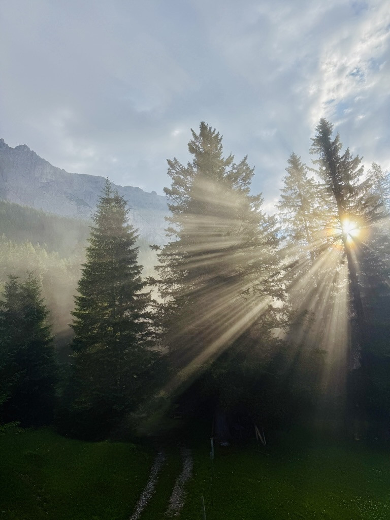 course_image